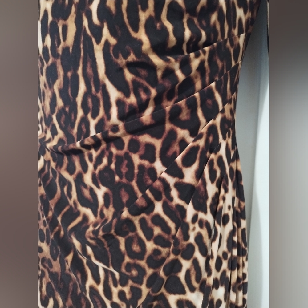 Ralph Lauren Dress, NWOT - Picture 2 of 5